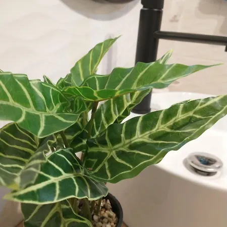 דירה Plac Slowianski 10